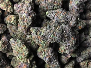 Gelato Cali